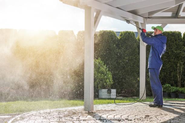 Best Building Exterior Washing  in Bloomingdale, IL