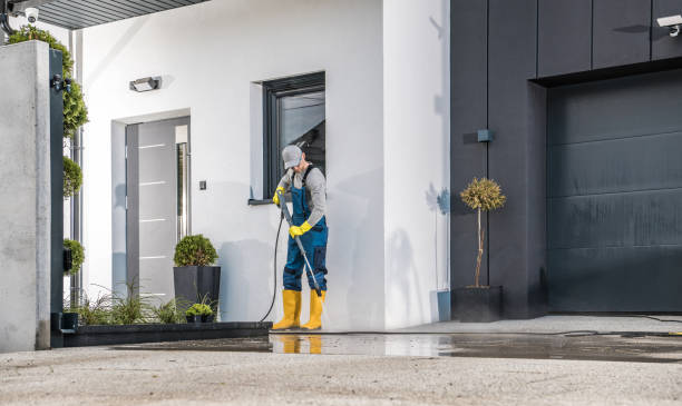 Best Gutter Cleaning  in Bloomingdale, IL